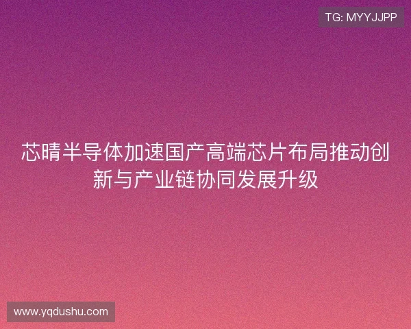 芯晴半导体加速国产高端芯片布局推动创新与产业链协同发展升级